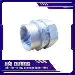 ĐẦU NỐI ỐNG RUỘT GÀ KÍN NƯỚC VÀO ỐNG THÉP REN IMC/ RSC