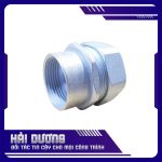 ĐẦU NỐI ỐNG RUỘT GÀ KÍN NƯỚC VÀO ỐNG THÉP REN IMC RSC 3 copy