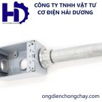 Đầu nối ống thép luồn dây điện ren với hộp điện