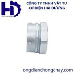 Đầu nối ống ruột gà lõi thép với ống thép luồn dây điện trơn EMT 1