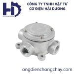 HAEX3 (1)