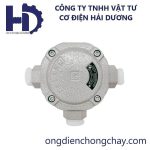 HAEX3 (1)
