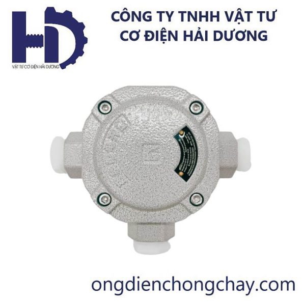 HAEX3 (2)