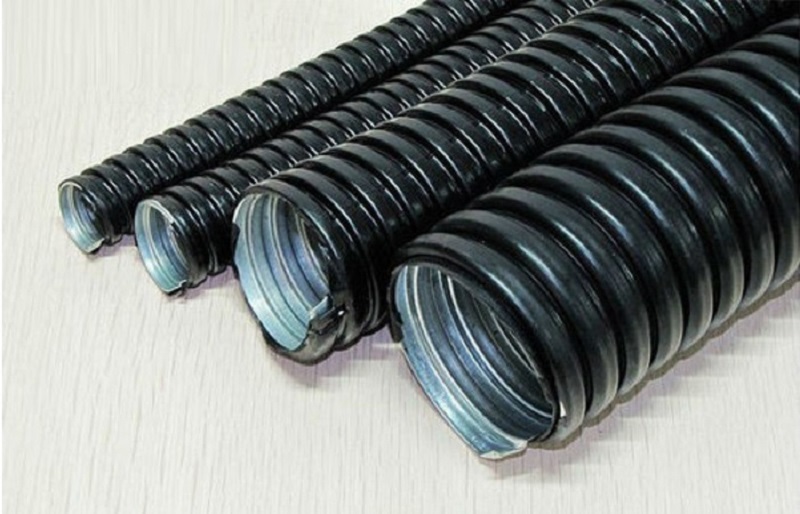 Không kiểm tra khả năng chống nước